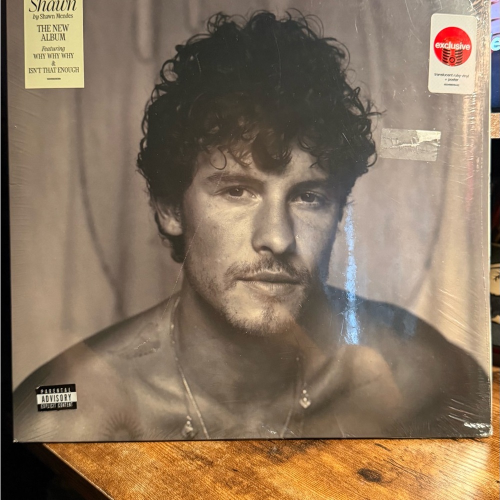 Shawn Mendes Vinyl Record